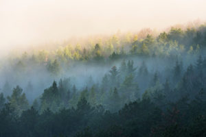 Sunrise over Jena, Nebel, Thuringia, Germany Sunrise over Jena, Nebel, Thuringia, Germany